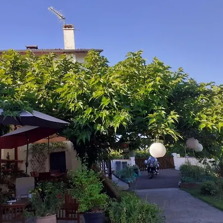 Au Bosquet, Et Salle De Bains Avec Petit Déjeuner à 600 M Du Centre Dans Un Cadre Calme Et Verdoyant Salies-de-Béarn