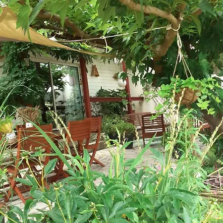 Au Bosquet, Et Salle De Bains Avec Petit Déjeuner à 600 M Du Centre Dans Un Cadre Calme Et Verdoyant * Salies-de-Béarn