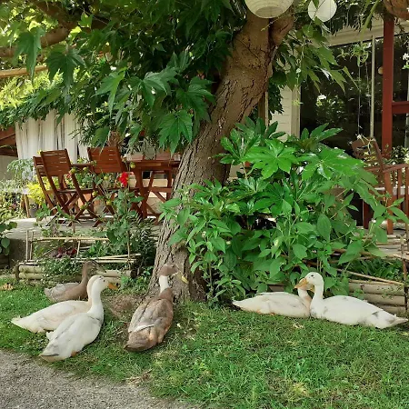 Au Bosquet, Et Salle De Bains Avec Petit Déjeuner à 600 M Du Centre Dans Un Cadre Calme Et Verdoyant Alojamento de Acomodação e Pequeno-almoço *