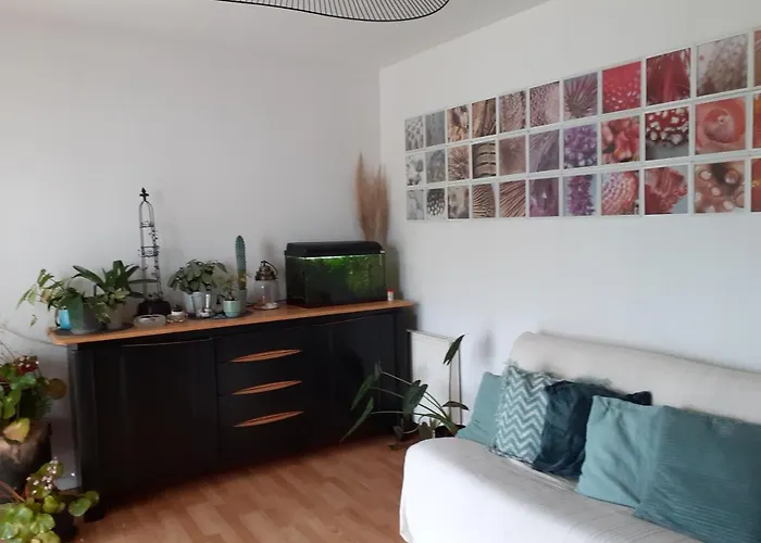 Bed & Breakfast Au Bosquet: Tranquil Retreat With Breakfast Near Town Center Salies-de-Bearn